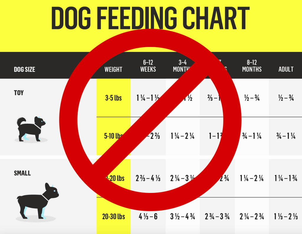 Forget the dog diet charts - use a modern and precise tool